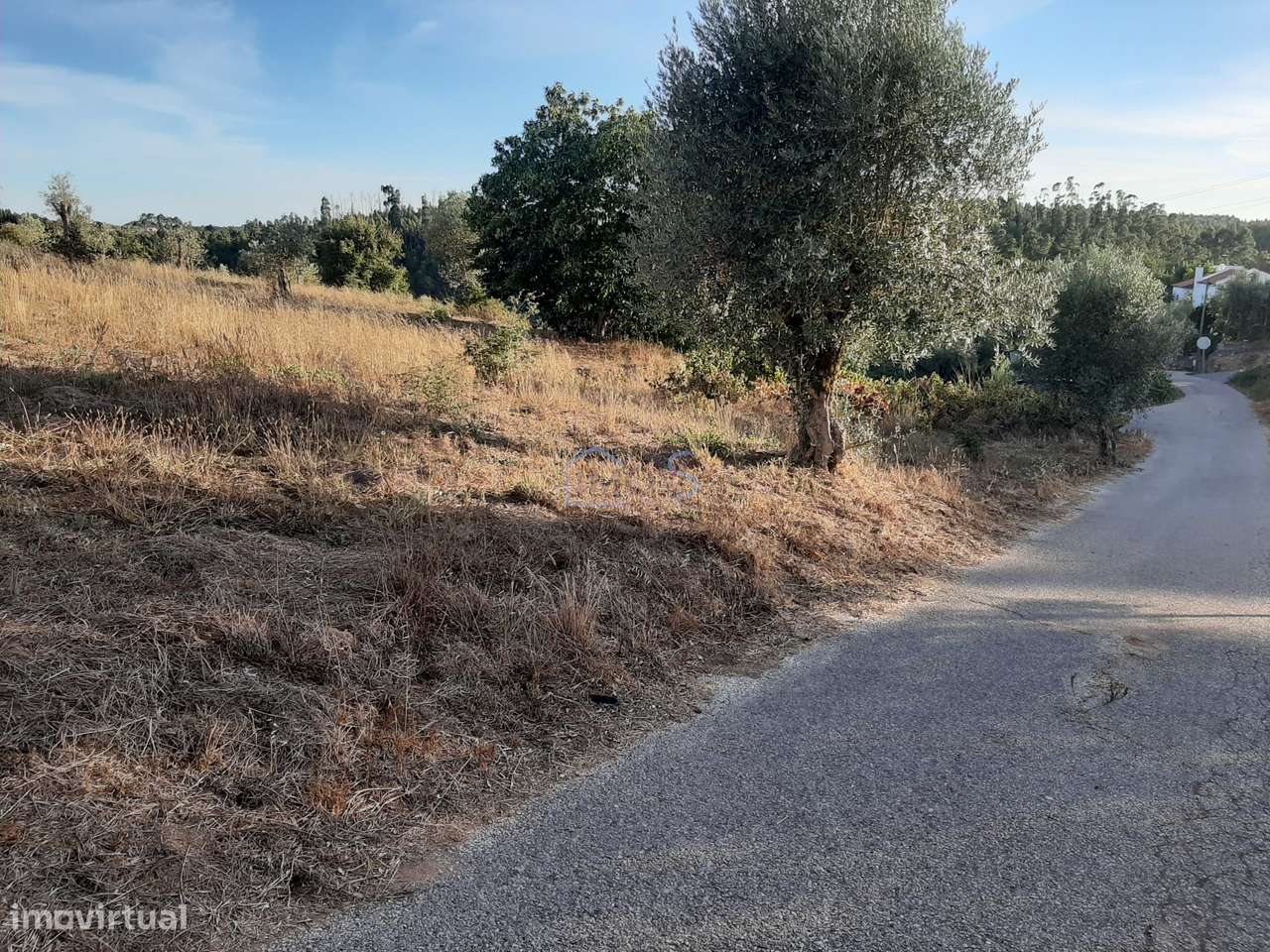 Terreno com Projeto Aprovado para Moradia em Besteiras – Águas Belas-8