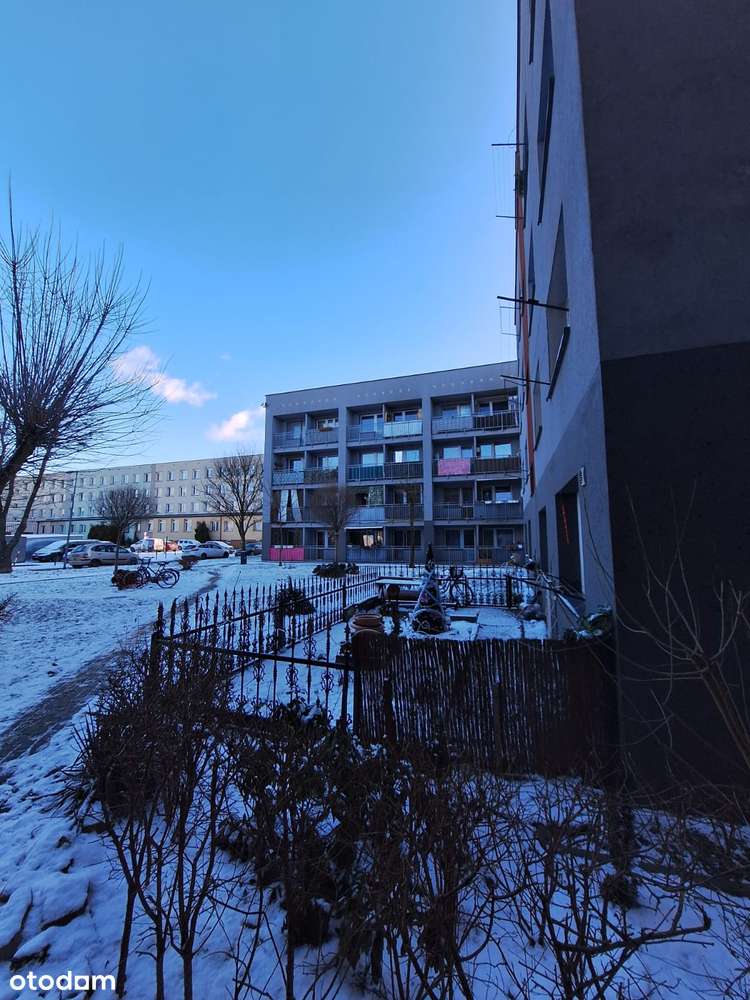 Ustawna kawalerka z balkonem ul.Homera 30 - blisko strefy ekonomicznej - Pełny obrazek: 4/4