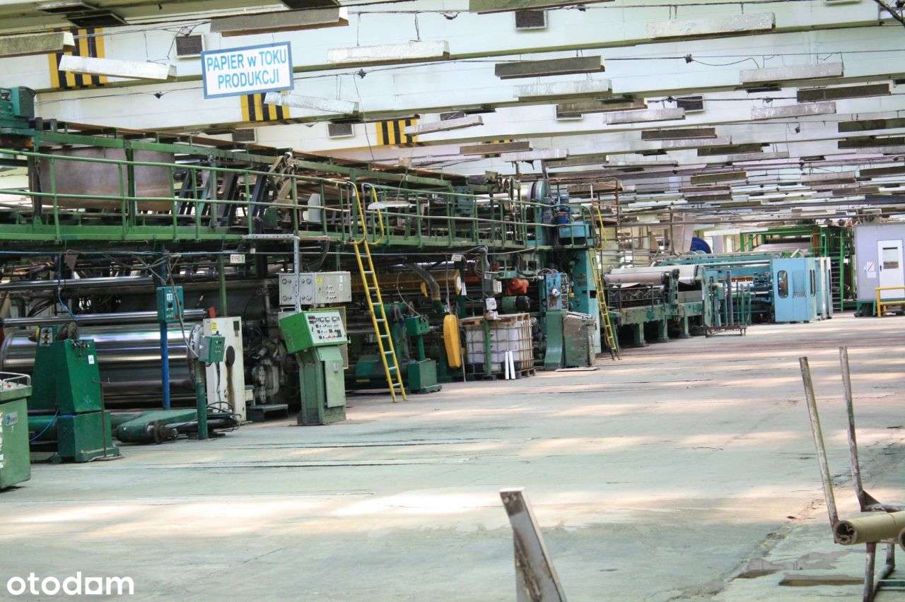 Budynek magazynowo-biurowy w Chełmie - Pełny obrazek: 5/11