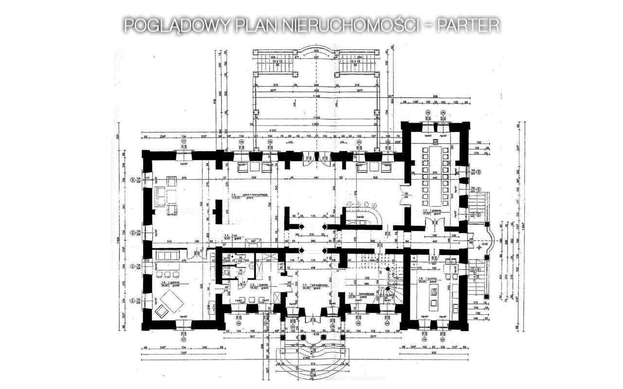 Prestiżowa rezydencja z basenem i zabytkowym parkiem | Cieszanowice.-17