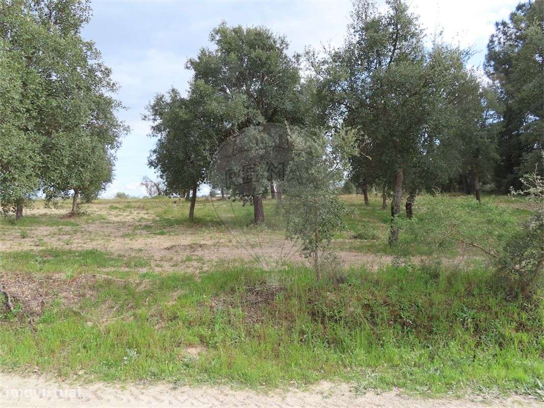 Quinta  para venda - Grande imagem: 5/23