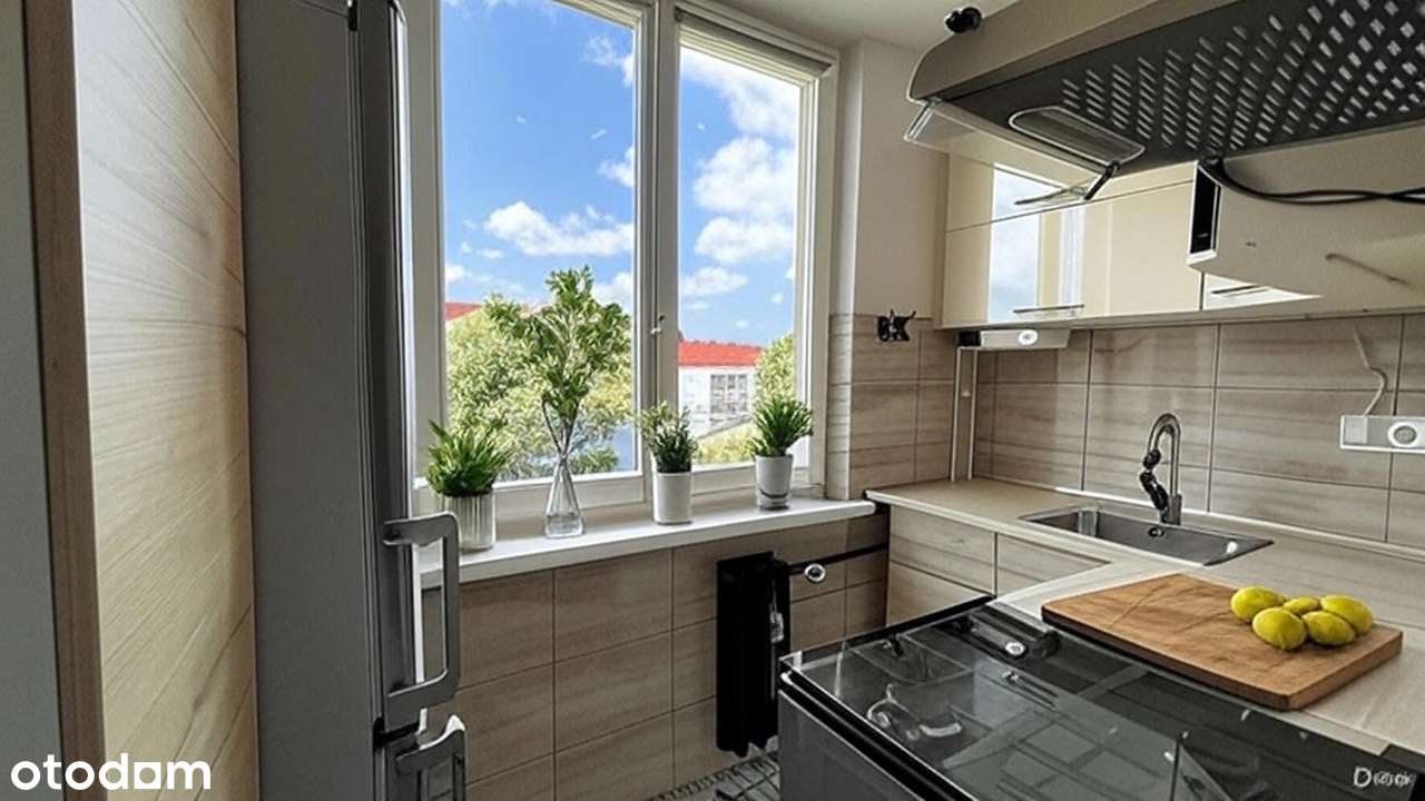 2 pokoje na wynajem, C.O z sieci - dostępne od zaraz! - Pełny obrazek: 5/5