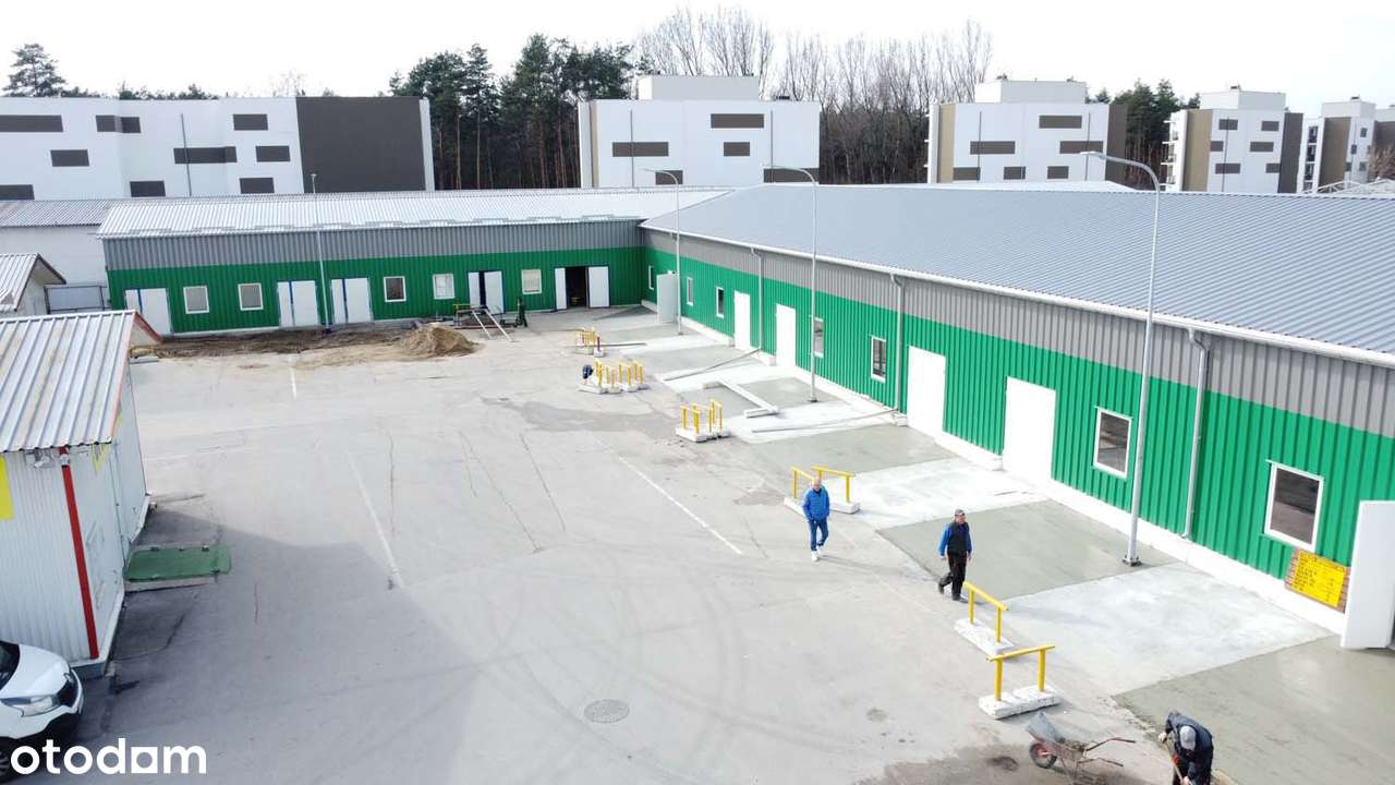 Wynajem Hali Magazynu Chłodni Mroźni (128m2) - Pełny obrazek: 4/11