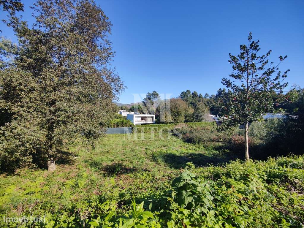 Lote destinado a construção, situado em Venade - Grande imagem: 2/6