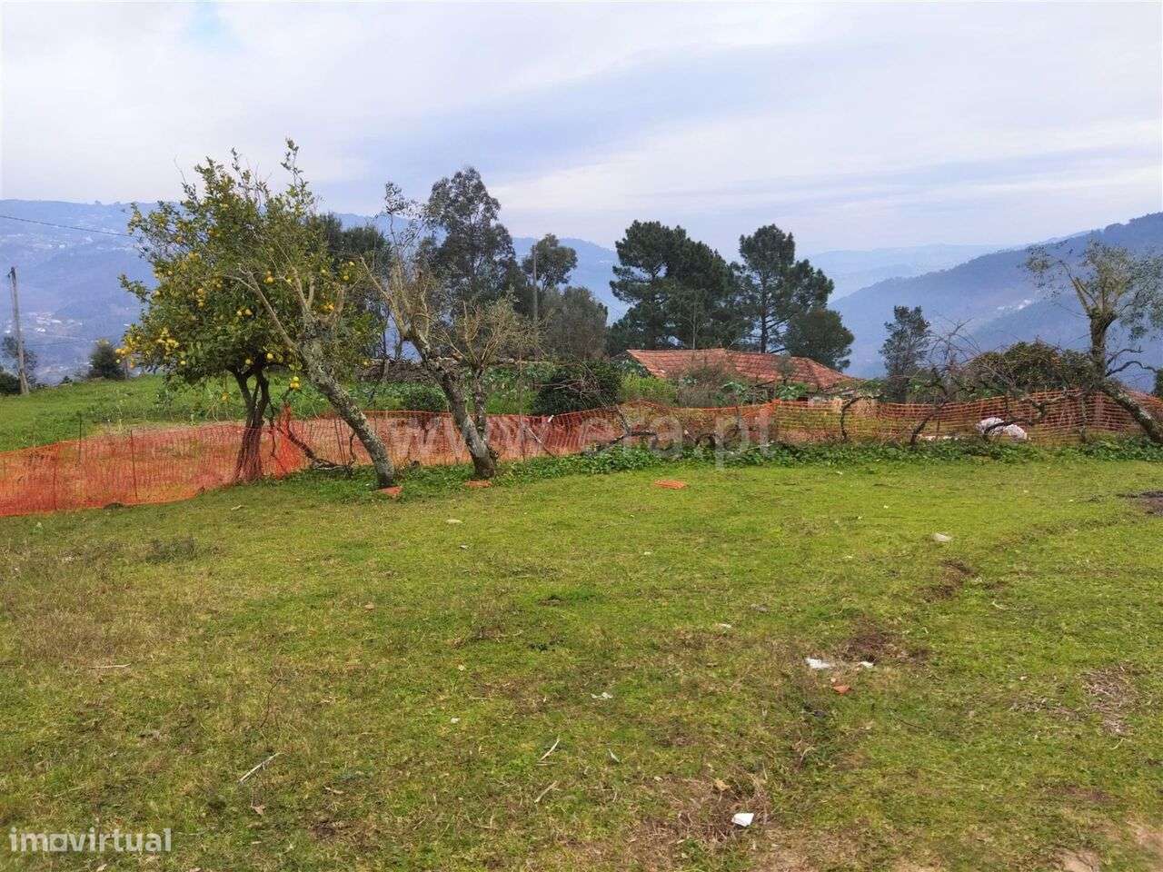 Terreno / Cinfães, Espadanedo - Grande imagem: 4/8