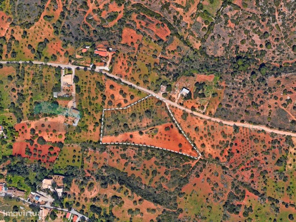 Terreno misto - Boliqueime - Grande imagem: 3/10