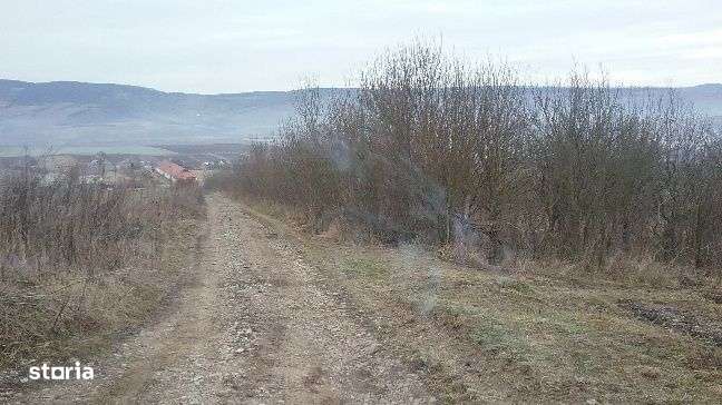 ID 9459: Teren 5.100 mp - Lechinta, Bistrita Nasaud - Imagine principală: 1/13