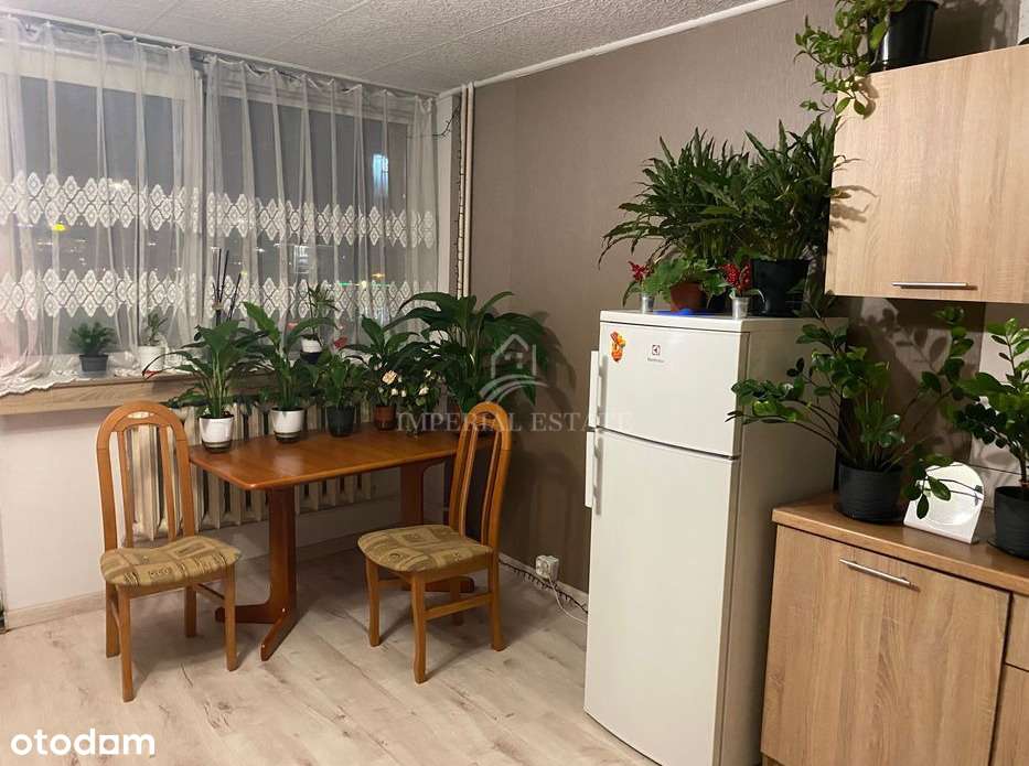 Kawalerka świetna pod inwestycje w Centrum - Pełny obrazek: 2/8