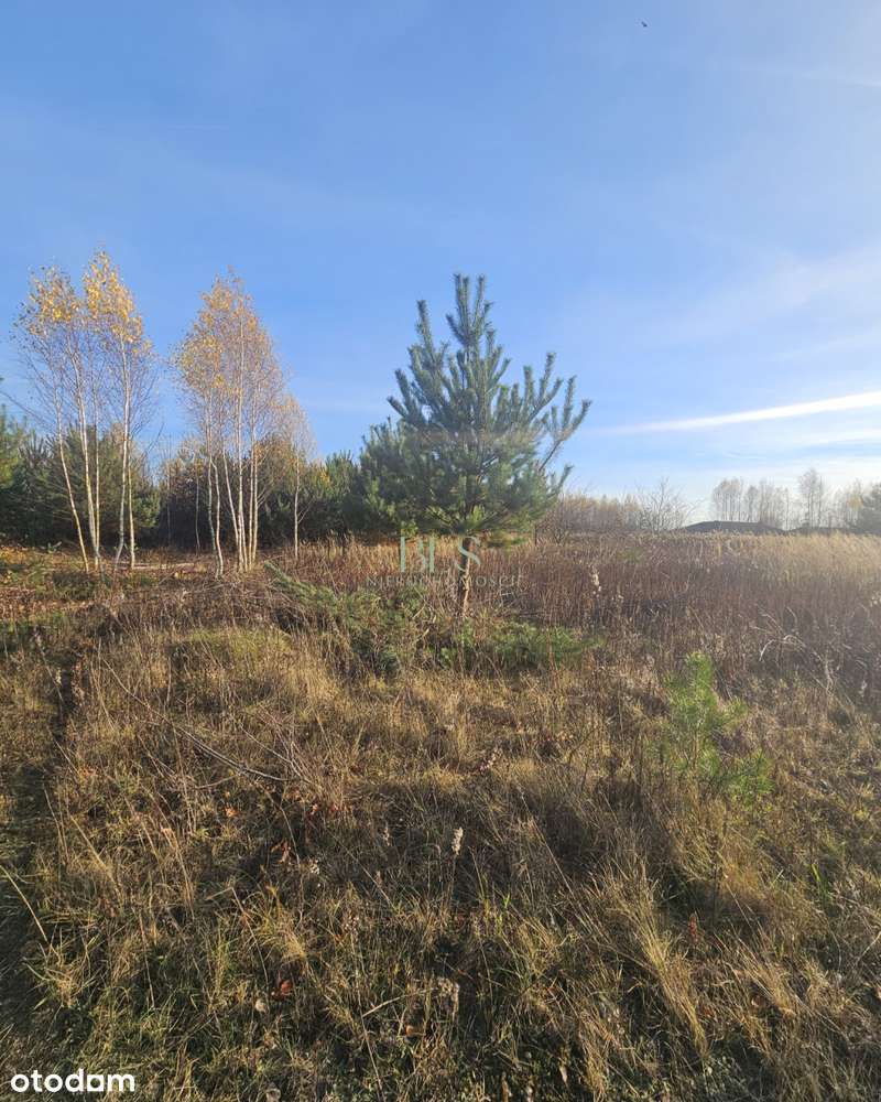 Mpzp zabudowa jednorodzinna - Pełny obrazek: 5/6