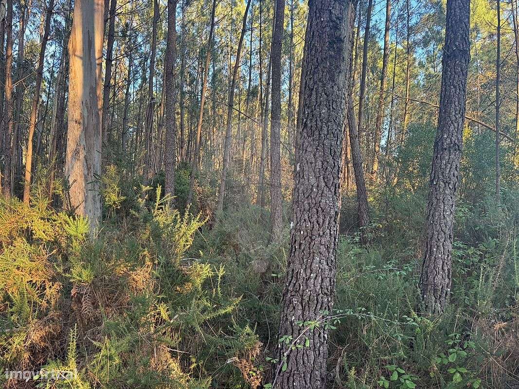 Terreno  para venda - Grande imagem: 4/18