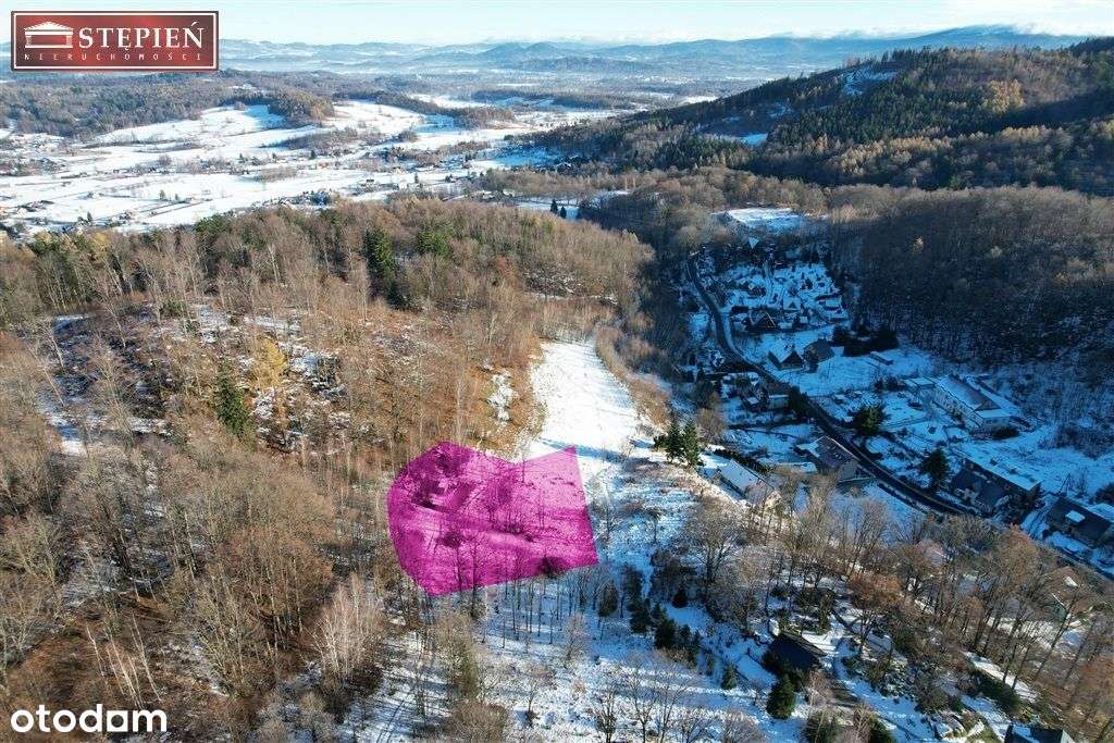 Działka, 2 500 m², Sosnówka - Pełny obrazek: 4/12