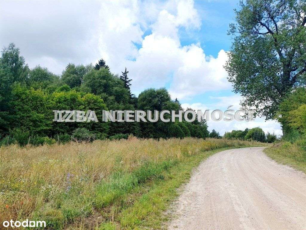 Działka, 3 000 m², Szarejki - Pełny obrazek: 4/19