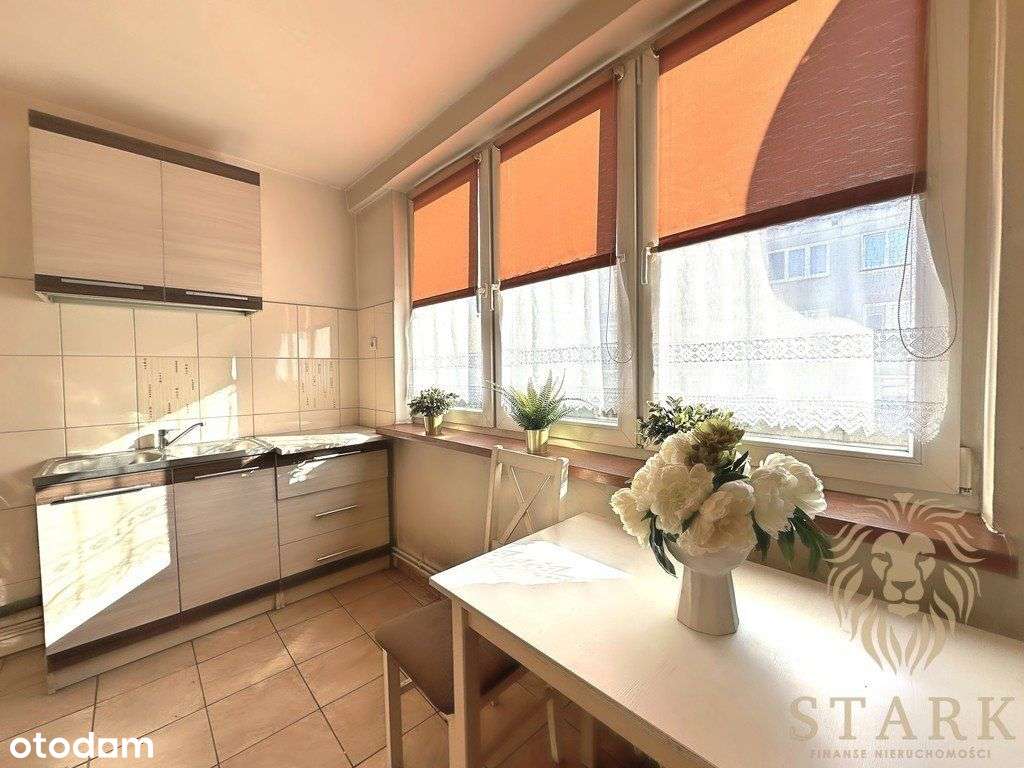 Mieszkanie z piwnicą Rybaki gmina Recz - Pełny obrazek: 4/9