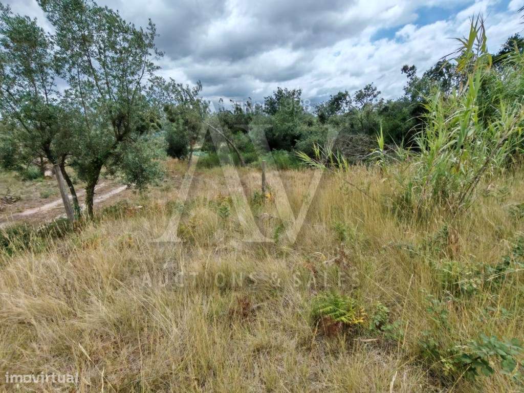 TERRENO PARA MORADIAS-4