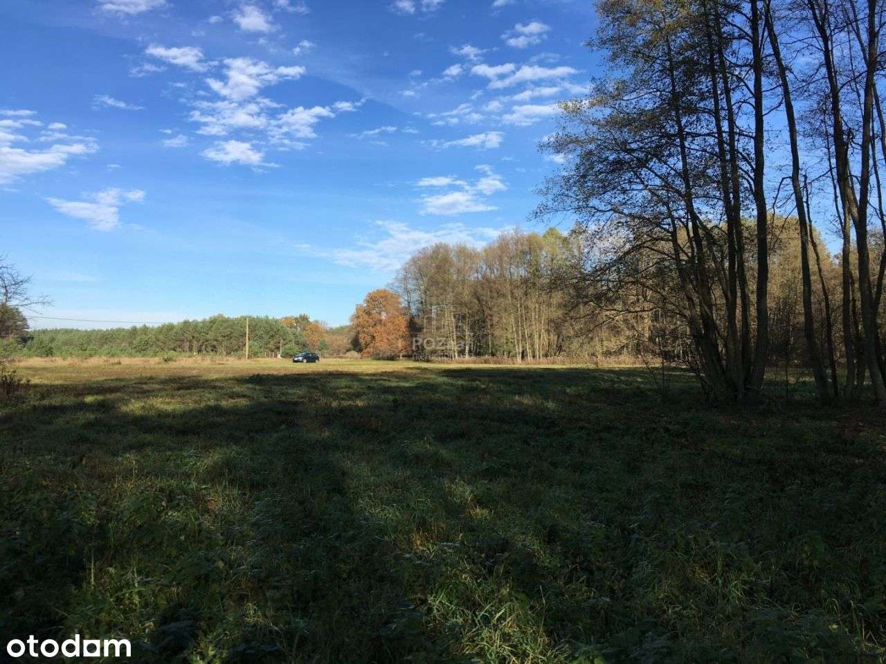 W Otoczeniu Lasów, Wz(!), W Stylu Slow Life - Pełny obrazek: 4/16