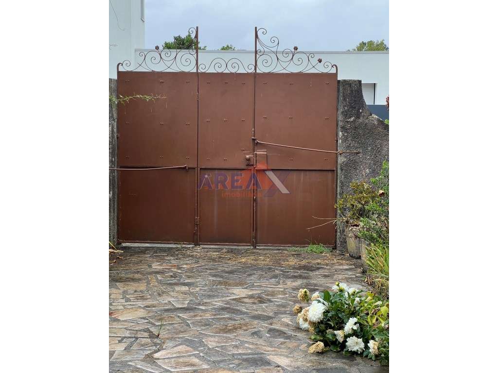 Oportunidade: 2 casas + artigo rústico com 2,0648 ha, perto de Oliv...-3