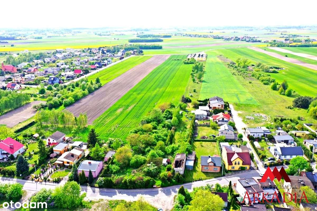 5 działek w tym działka budowlana/Czerniewice - Pełny obrazek: 4/8
