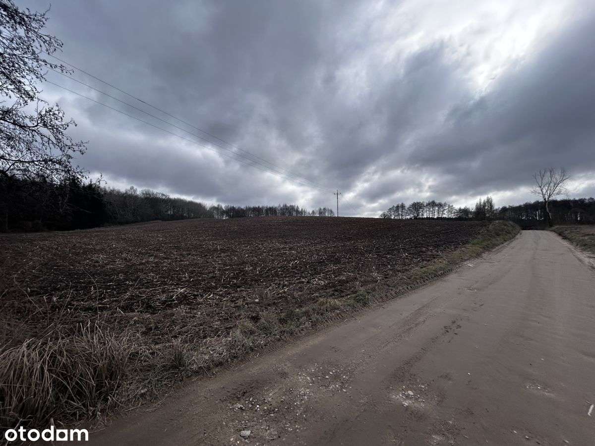Działka  na sprzedaż - Pełny obrazek: 5/14