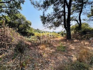 Terreno em Portela Susã - Grande imagem: 2/8