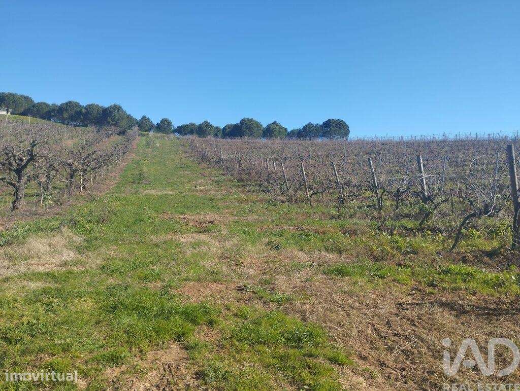 Terreno para construção em Lamas e Cercal de 160,00 m2 - Grande imagem: 5/30