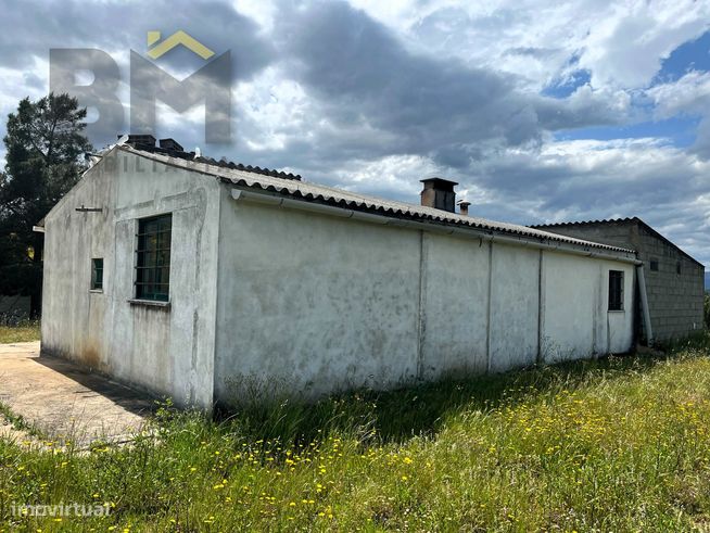 Quinta T1 Venda em Salgueiro do Campo,Castelo Branco-1