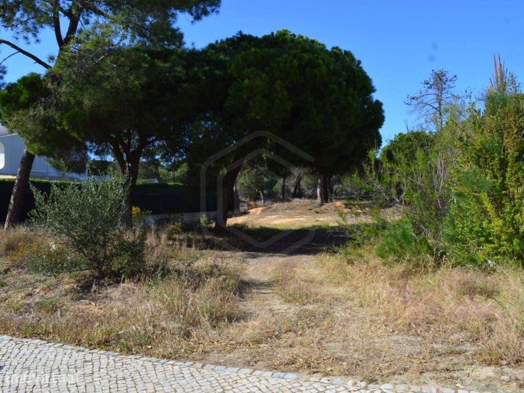 Terreno urbano perto da Praia, Almancil, Algarve - Grande imagem: 2/14