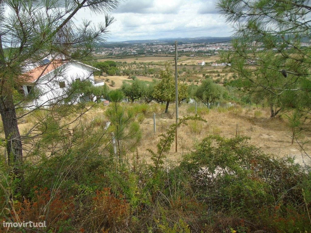 Lote de Moradia para construção em São Lourenço - Abrantes