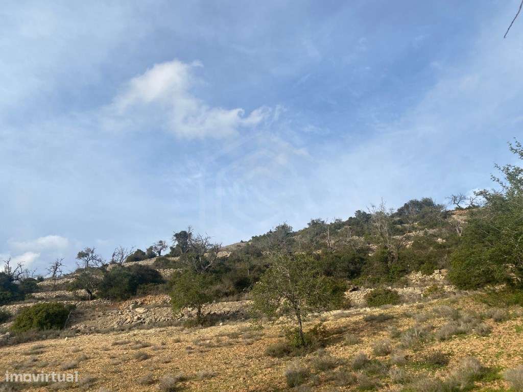 Terreno rústico com 3300m2, Loulé, Algarve - Grande imagem: 5/14