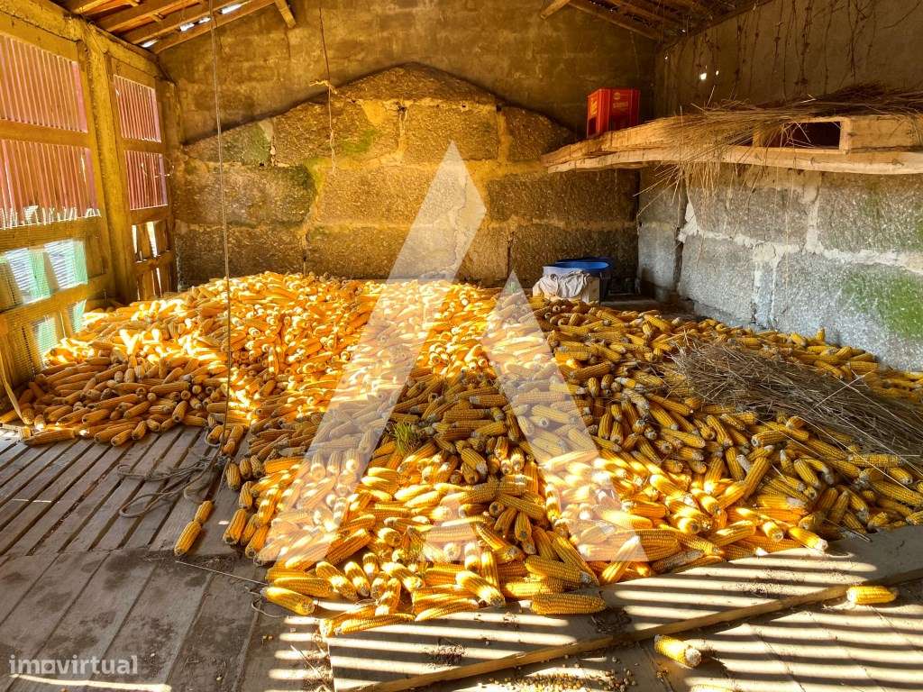 Quinta Nevogilde com Moradia T10, Capela, Celeiro e Acesso ao Rio S...-23