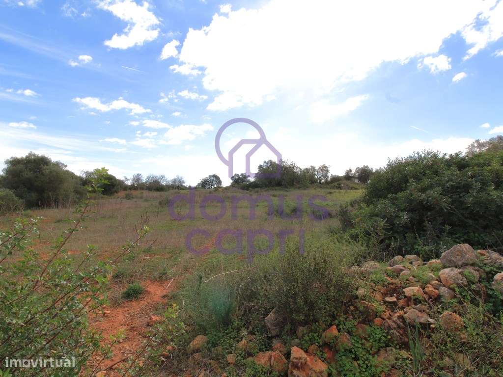 Terreno Rústico em Murtais - Moncarapacho - Olhão - Grande imagem: 5/9