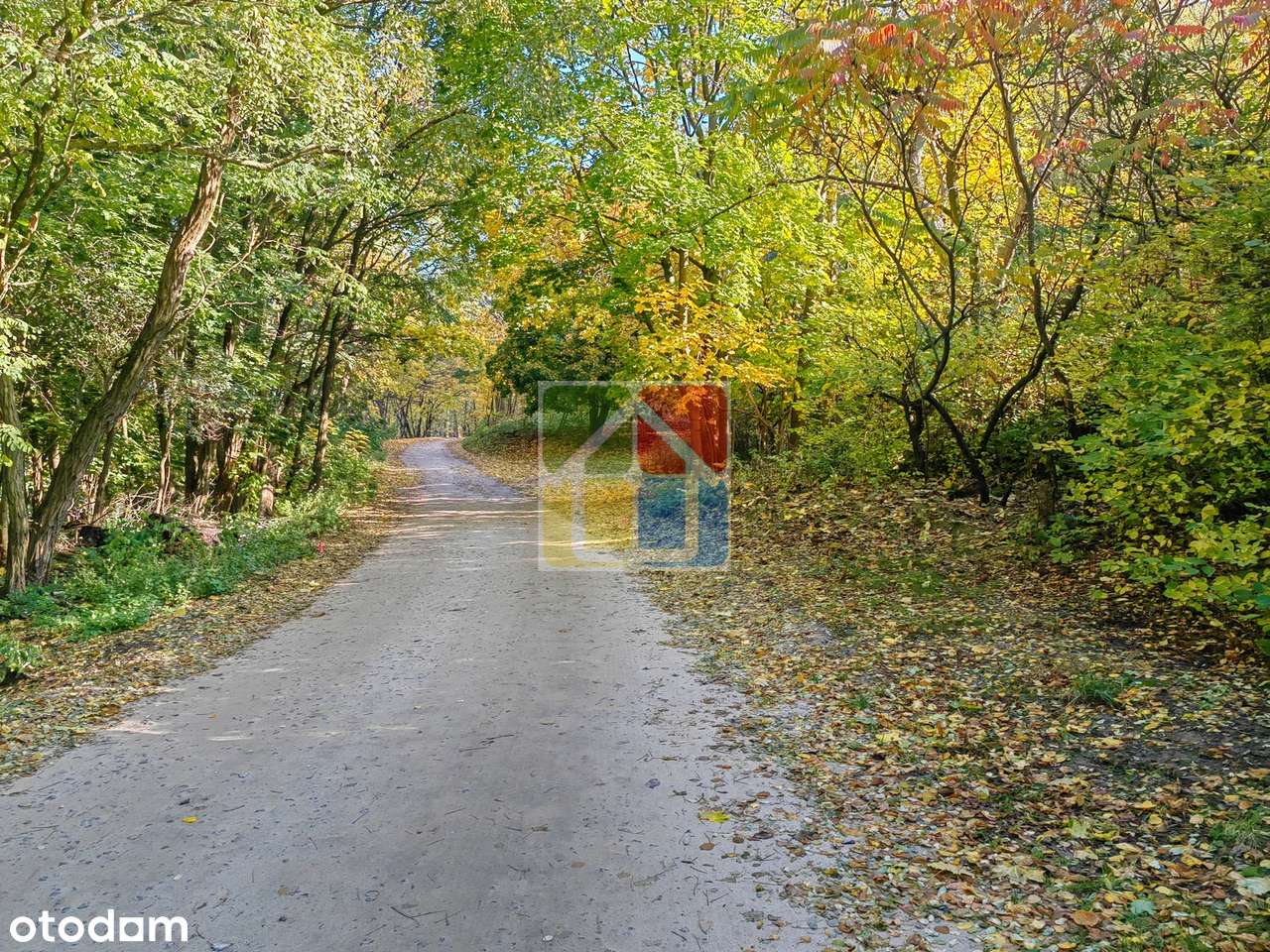 Działka pod zabudowę z dostępem do jeziora Sumino i własnym lasem - Pełny obrazek: 5/14