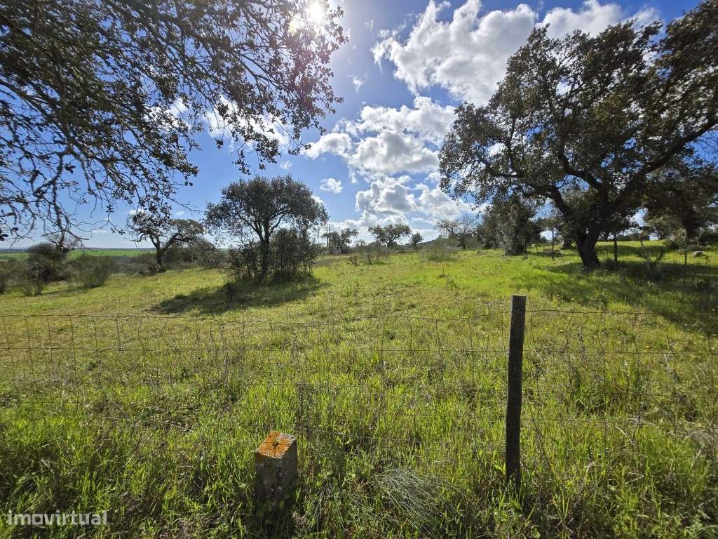 Terreno Rústico Junto à Barragem de Lucefecit, em Terena - Grande imagem: 4/15