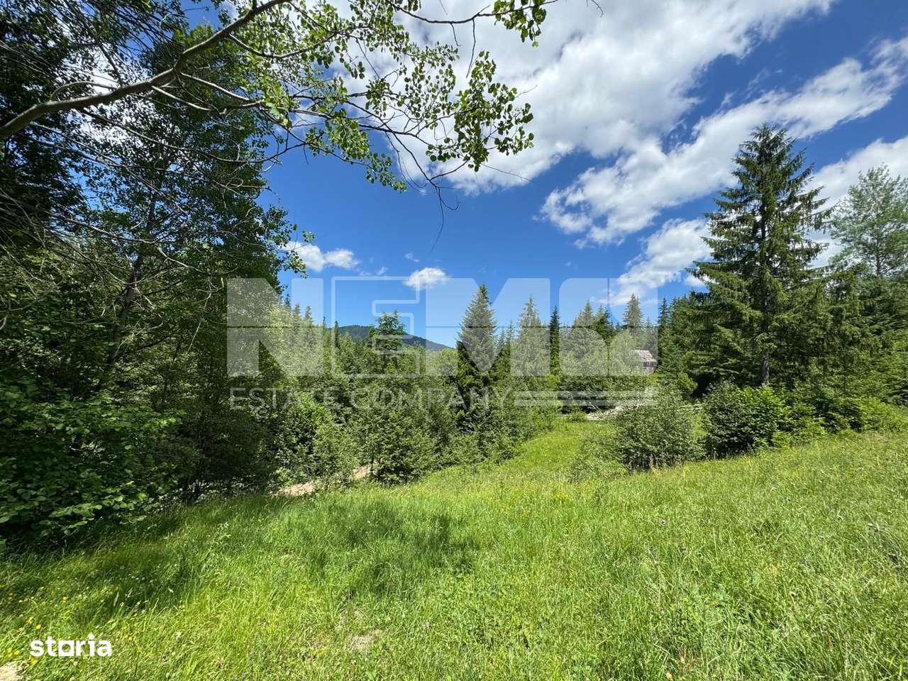 TEREN EXTRAVILAN DE VANZARE | CAMPULUNG MOLDOVENESC | 258.720€ - Imagine principală: 2/7