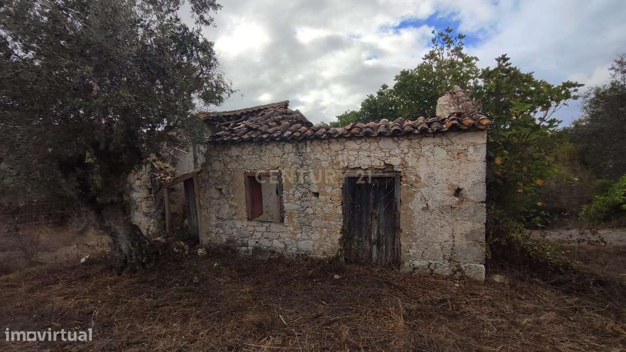 Terreno com casas antigas para Recuperação em São Vicente do Paul, San - Grande imagem: 5/18