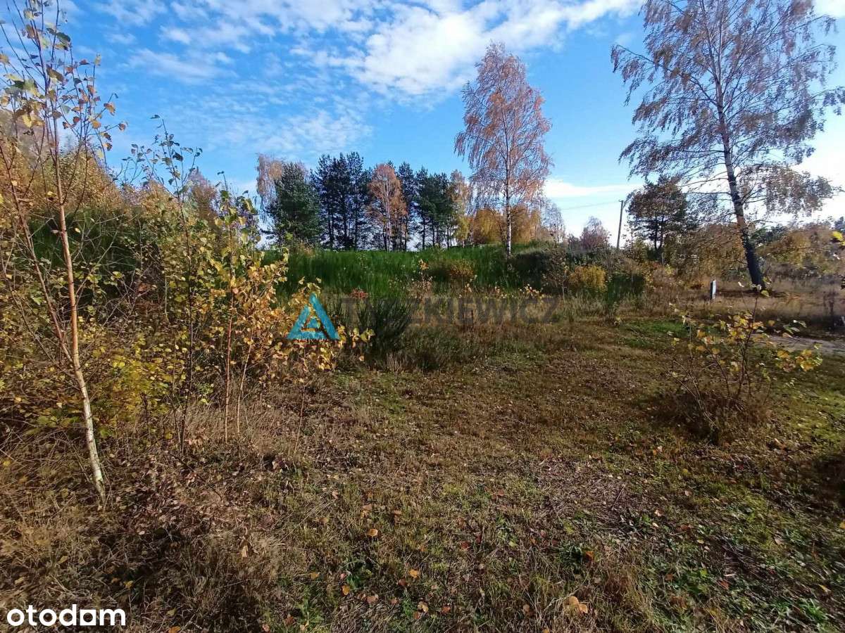 Gołczewo - lasy, jeziora, cisza i spokój - Pełny obrazek: 4/11