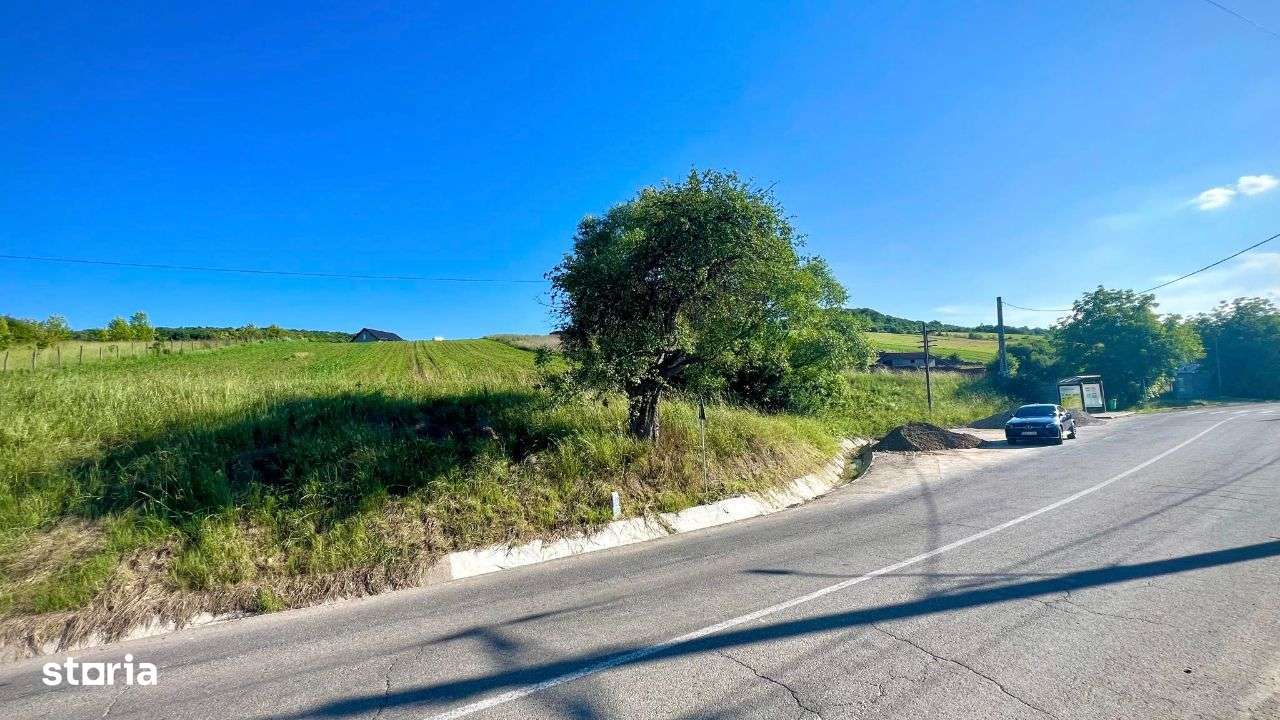 Vand teren intravilan in Sanisor cu suprafata de 4946 mp - Imagine principală: 3/6