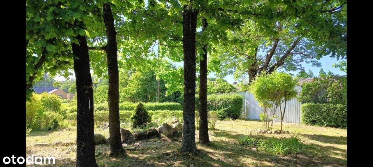 Działka siedliskowo leśna z domkiem-7