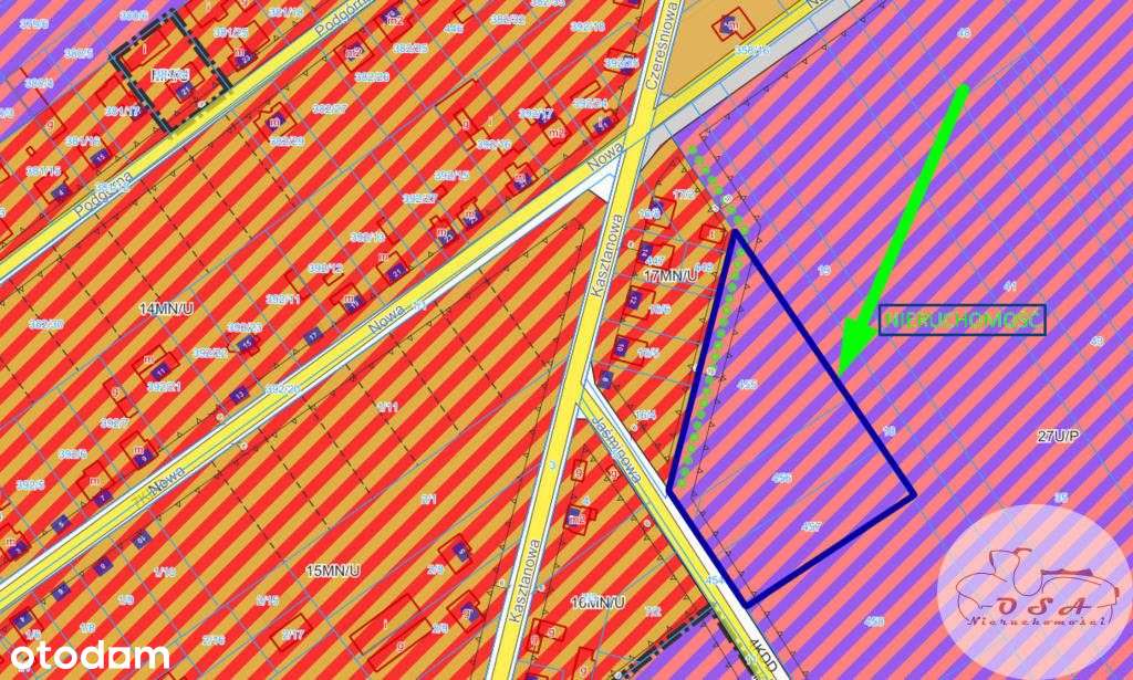 Działka z Mpzp 0,8 ha Dębienko k. Stęszewa-2