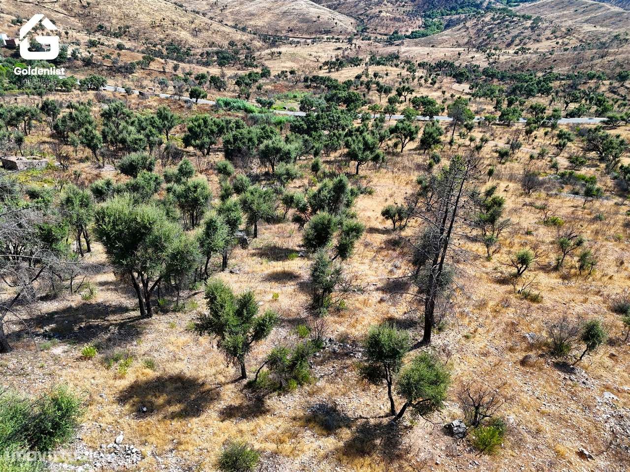 Terreno  Venda em Espírito Santo, Nossa Senhora da Graça e São Simão,N-18