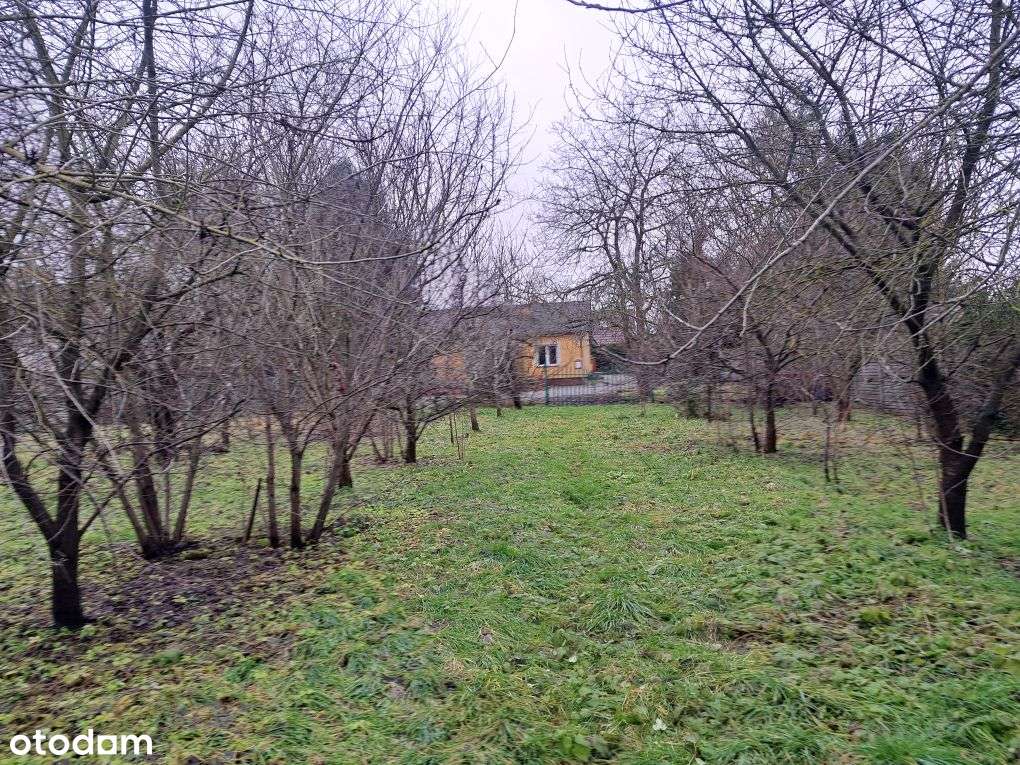 Dom, okolice Barcina, 170 m², duża działka 3000 m² i stawem rybnym-12