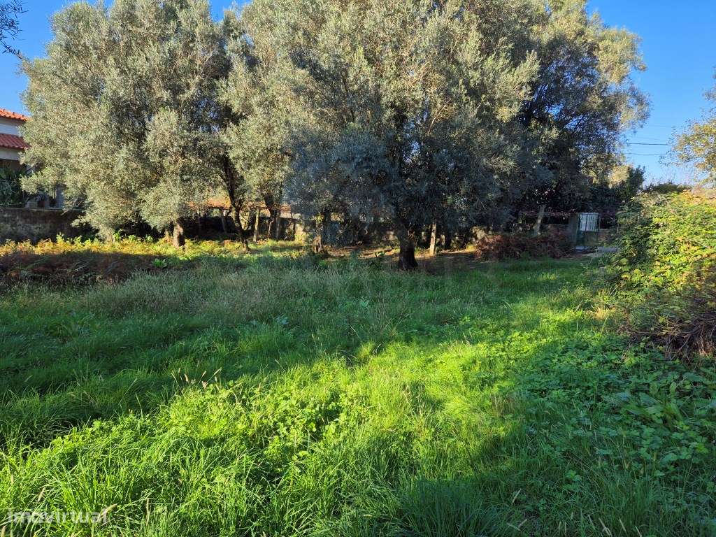 Terreno São Pedro Arcos - Grande imagem: 3/5