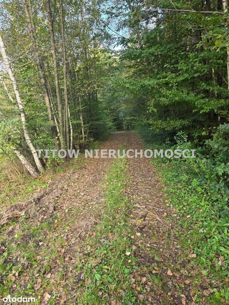 Hyżne 40 min od Rzeszowa dom sprzedam-5