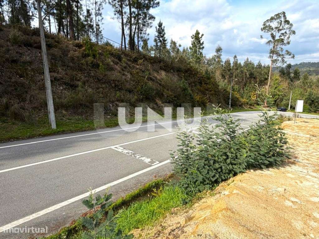 Terreno Rústico - Envolvente de Natureza - Grande imagem: 3/20