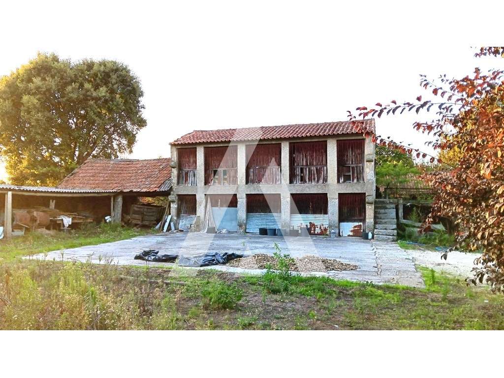 Quinta Nevogilde com Moradia T10, Capela, Celeiro e Acesso ao Rio S...-18