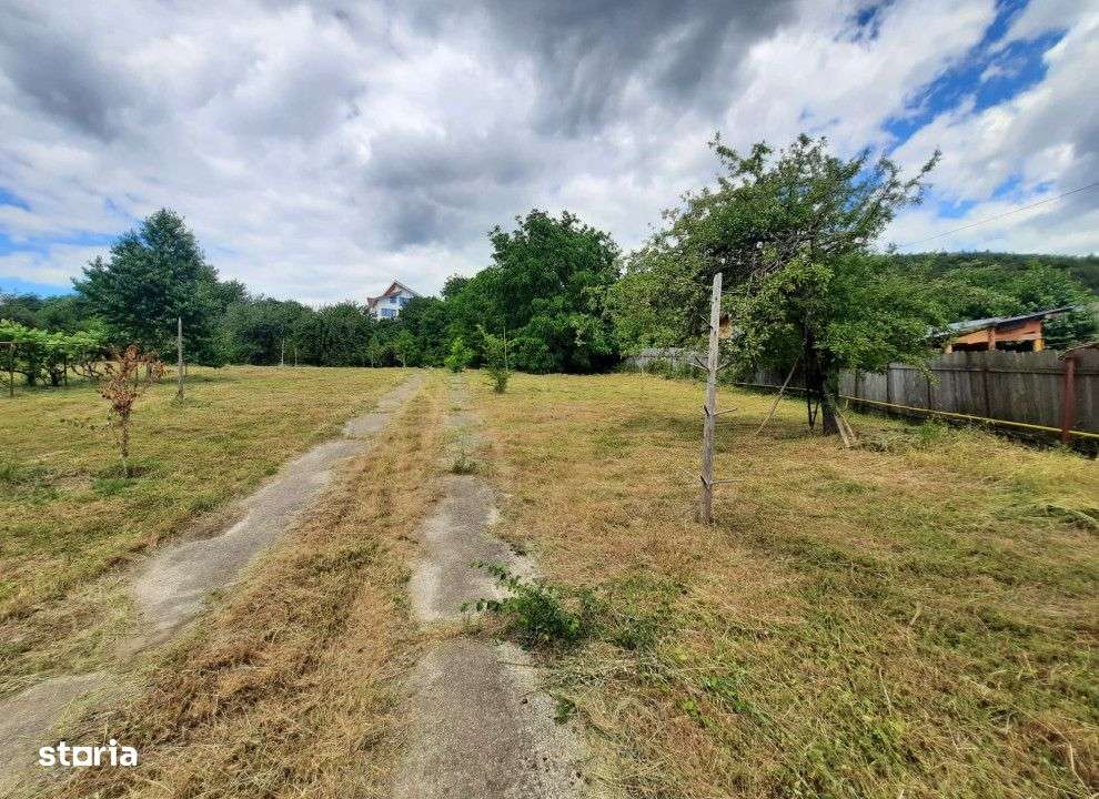 Teren intravilan Valea Vie , 1000 metri Cod:147432 - Imagine principală: 5/7