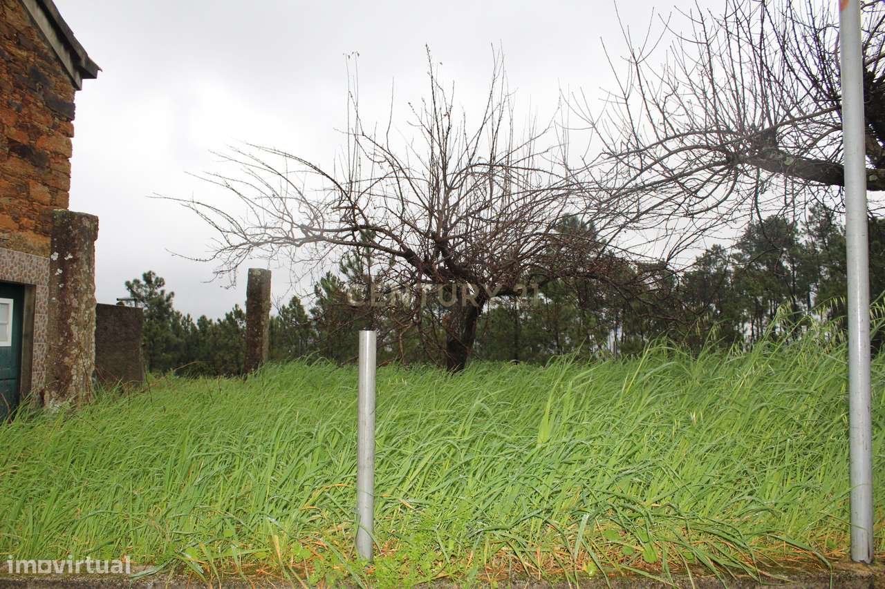 Casa de Campo na Lameirinha-36