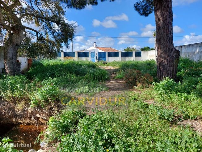 Terreno urbano com 334m2 para construção-5