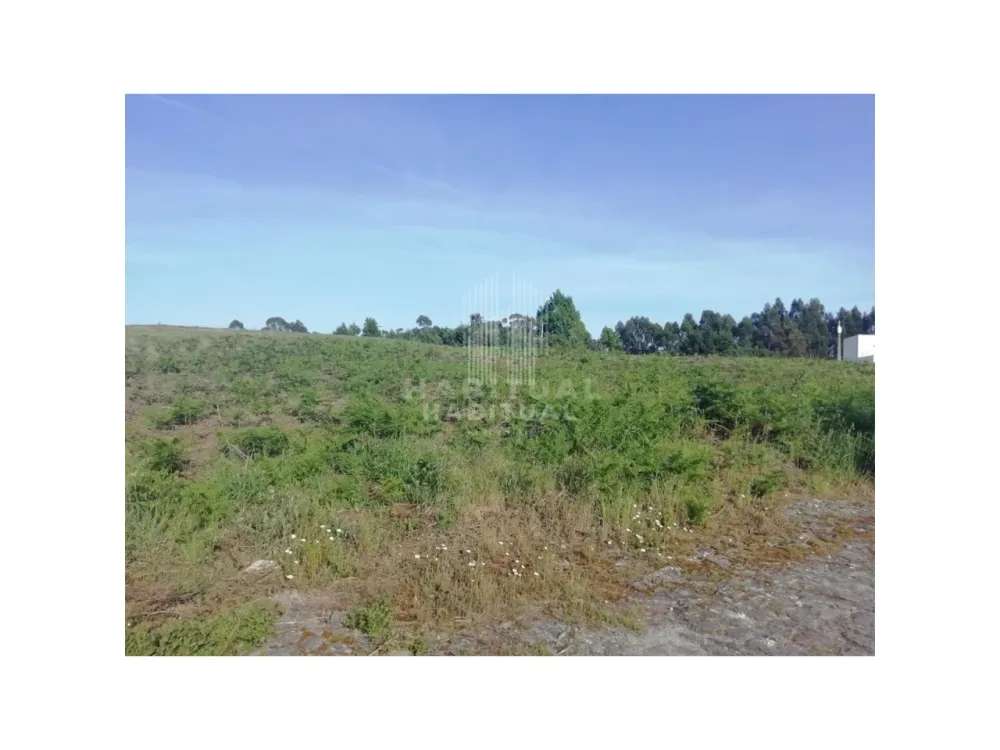 TERRENO DESTINADO A CONSTRUÇÃO EM ANHA COM 1891 M2 - Grande imagem: 3/5