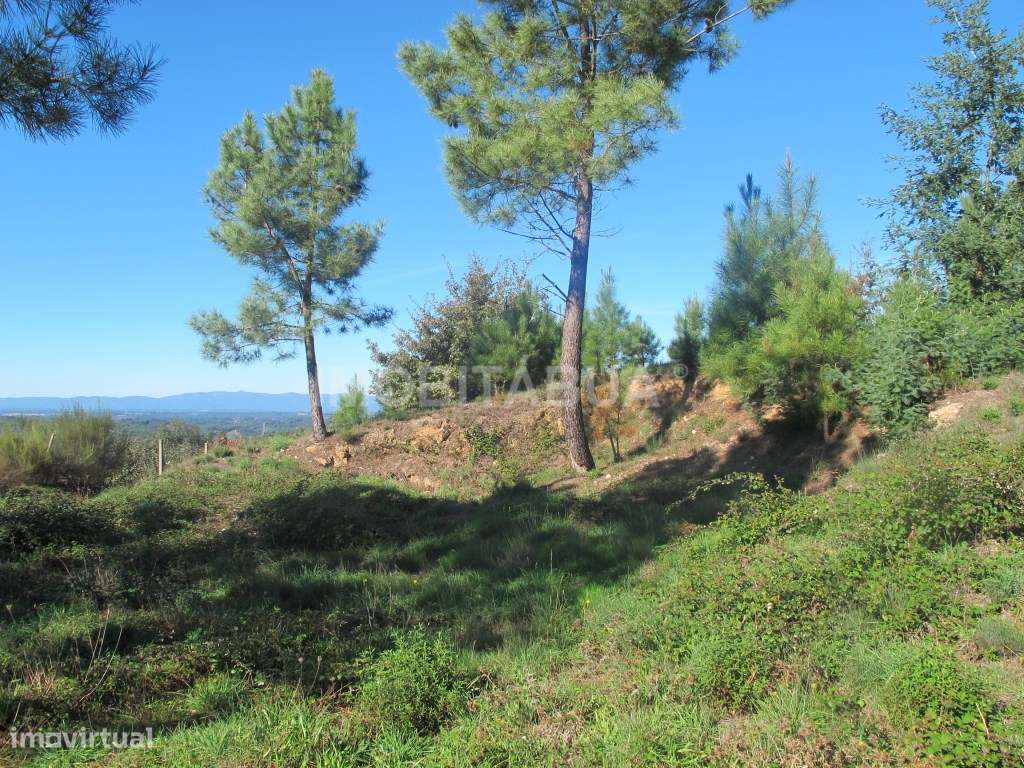 Pouco mais de um hectare de terreno com belas vistas para a montanh... - Grande imagem: 5/6