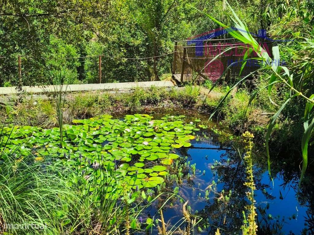 Propriedade com moradia, anexo, piscina e terreno com mais 2 ha-16